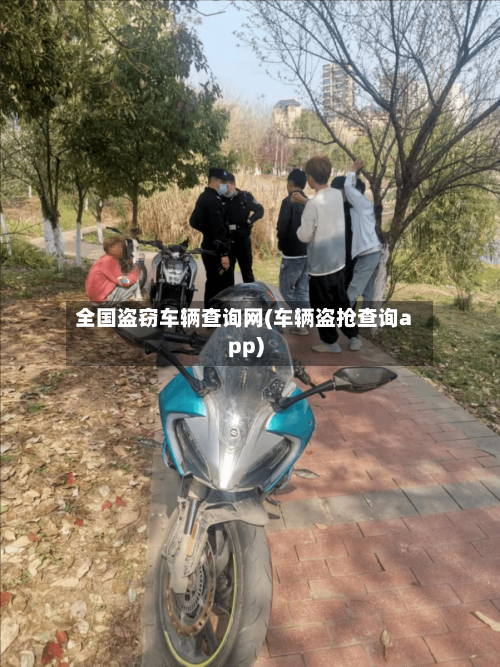 全国盗窃车辆查询网(车辆盗抢查询app)