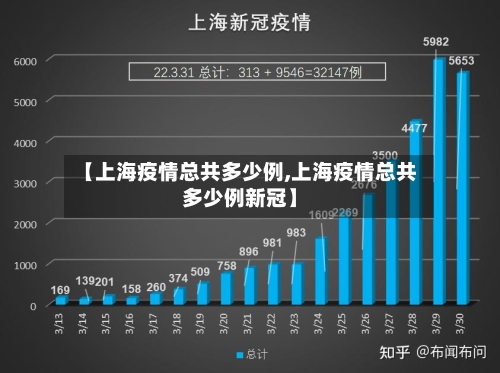 【上海疫情总共多少例,上海疫情总共多少例新冠】-第2张图片