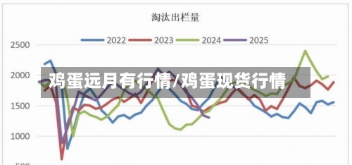 鸡蛋远月有行情/鸡蛋现货行情
