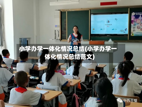 小学办学一体化情况总结(小学办学一体化情况总结范文)-第3张图片
