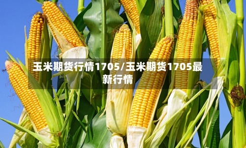玉米期货行情1705/玉米期货1705最新行情-第3张图片