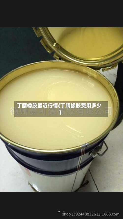 丁腈橡胶最近行情(丁腈橡胶费用多少)