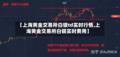 【上海黄金交易所白银td实时行情,上海黄金交易所白银实时费用】-第2张图片