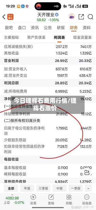 今日锂辉石费用行情/锂辉石涨价