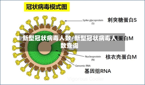 新型冠状病毒人数/新型冠状病毒人数查询