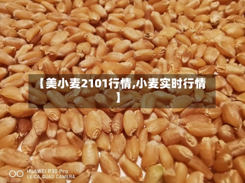 【美小麦2101行情,小麦实时行情】