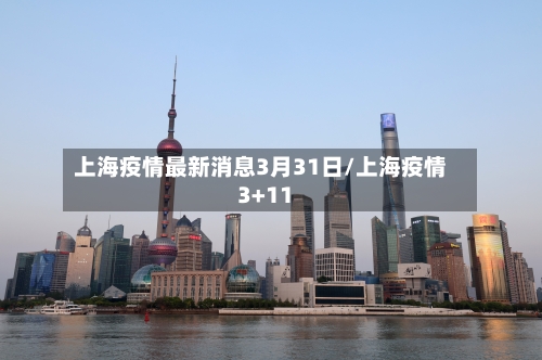 上海疫情最新消息3月31日/上海疫情3+11-第3张图片
