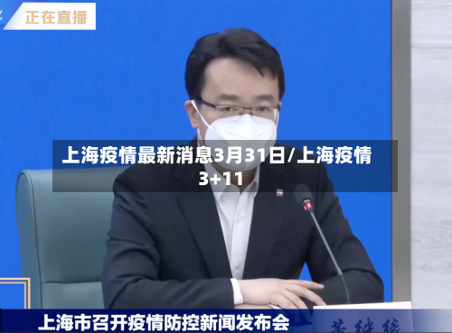 上海疫情最新消息3月31日/上海疫情3+11
