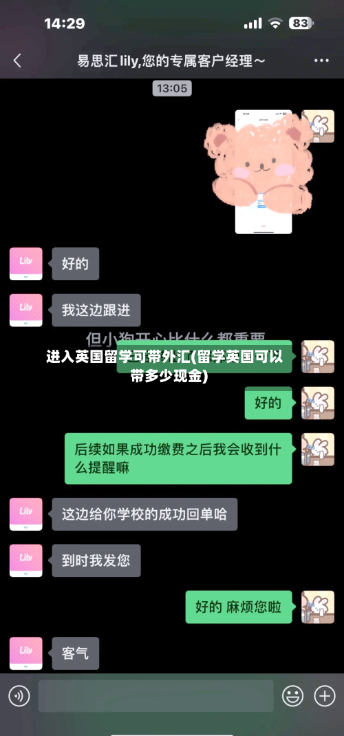 进入英国留学可带外汇(留学英国可以带多少现金)-第3张图片