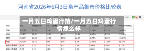 一月五日鸡蛋行情/一月五日鸡蛋行情怎么样-第2张图片
