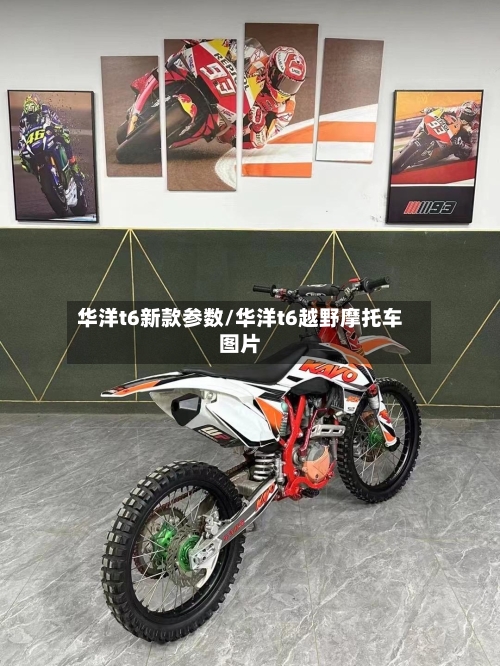 华洋t6新款参数/华洋t6越野摩托车图片-第2张图片