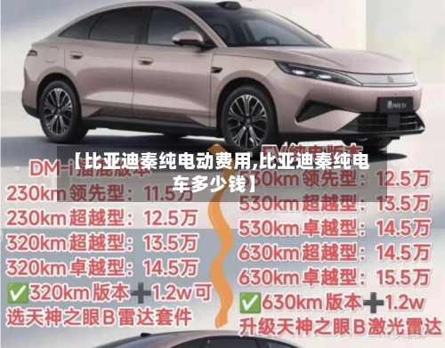 【比亚迪秦纯电动费用,比亚迪秦纯电车多少钱】
