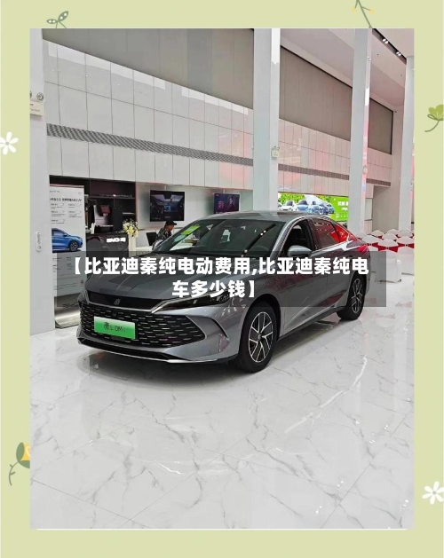【比亚迪秦纯电动费用,比亚迪秦纯电车多少钱】-第2张图片