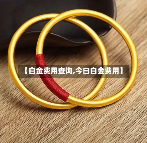 【白金费用查询,今曰白金费用】-第2张图片