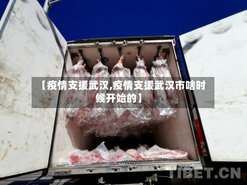 【疫情支援武汉,疫情支援武汉市啥时候开始的】-第2张图片