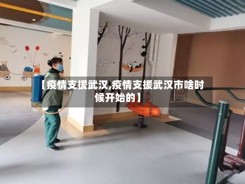 【疫情支援武汉,疫情支援武汉市啥时候开始的】