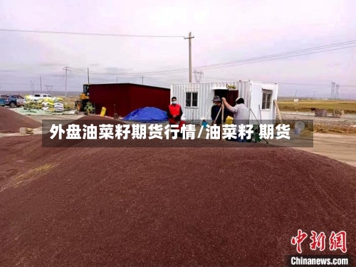 外盘油菜籽期货行情/油菜籽 期货