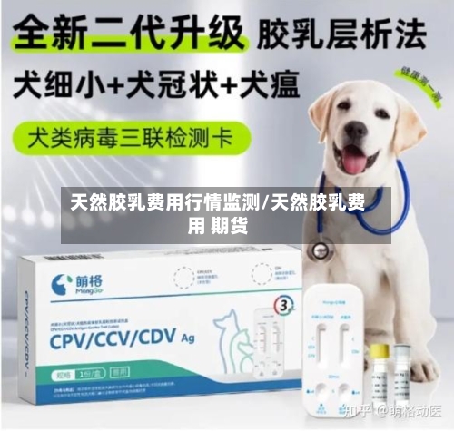 天然胶乳费用行情监测/天然胶乳费用 期货-第3张图片
