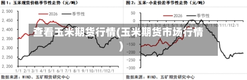 查看玉米期货行情(玉米期货市场行情)-第2张图片