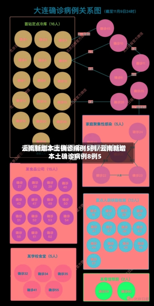 云南新增本土确诊病例5例/云南新增本土确诊病例8例5-第2张图片
