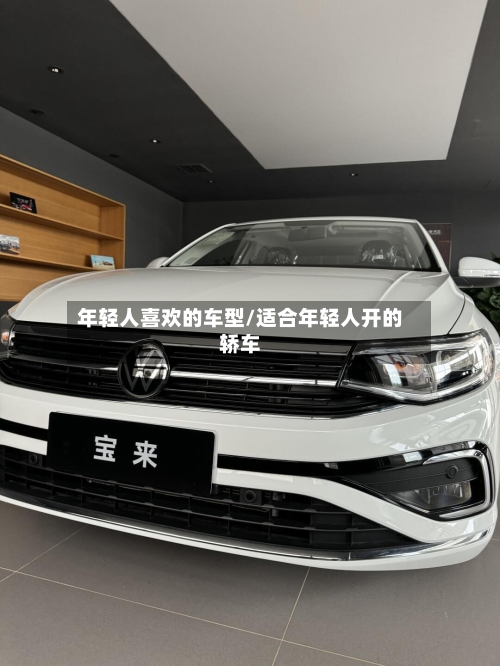 年轻人喜欢的车型/适合年轻人开的轿车