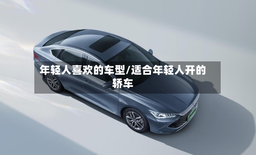 年轻人喜欢的车型/适合年轻人开的轿车-第3张图片