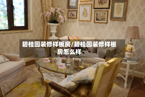 碧桂园装修样板房/碧桂园装修样板房怎么样