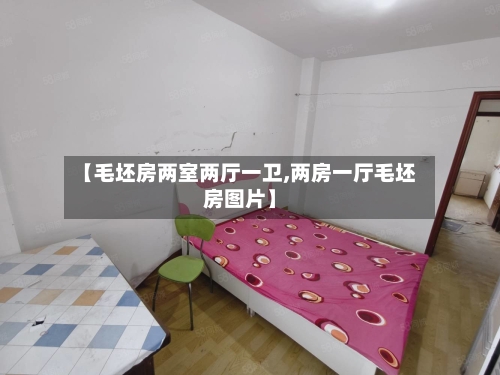【毛坯房两室两厅一卫,两房一厅毛坯房图片】