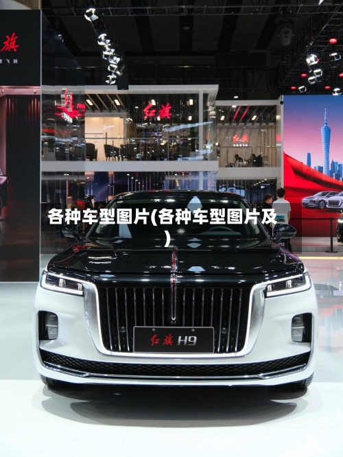 各种车型图片(各种车型图片及)