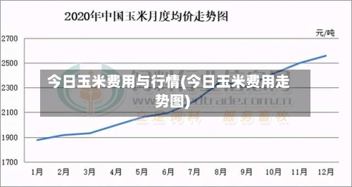 今日玉米费用与行情(今日玉米费用走势图)