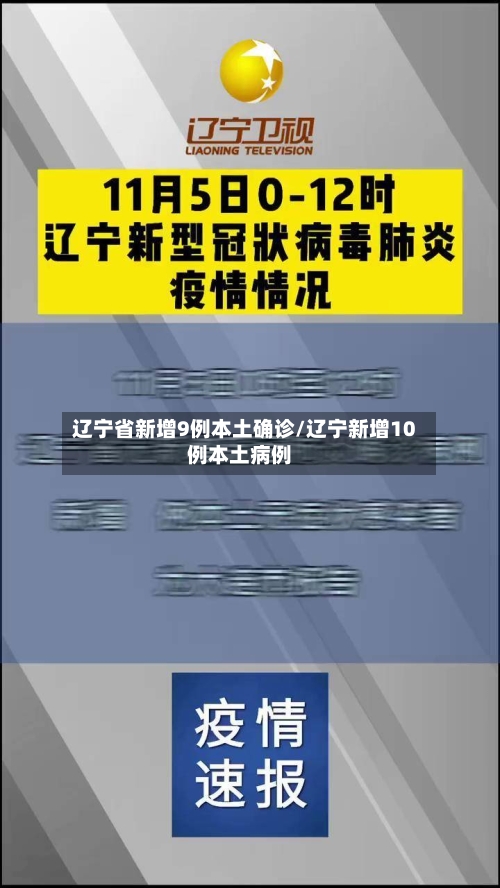 辽宁省新增9例本土确诊/辽宁新增10例本土病例-第2张图片