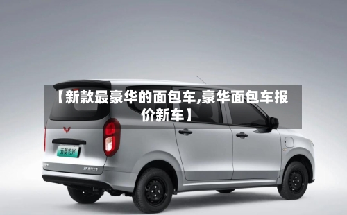 【新款最豪华的面包车,豪华面包车报价新车】-第3张图片