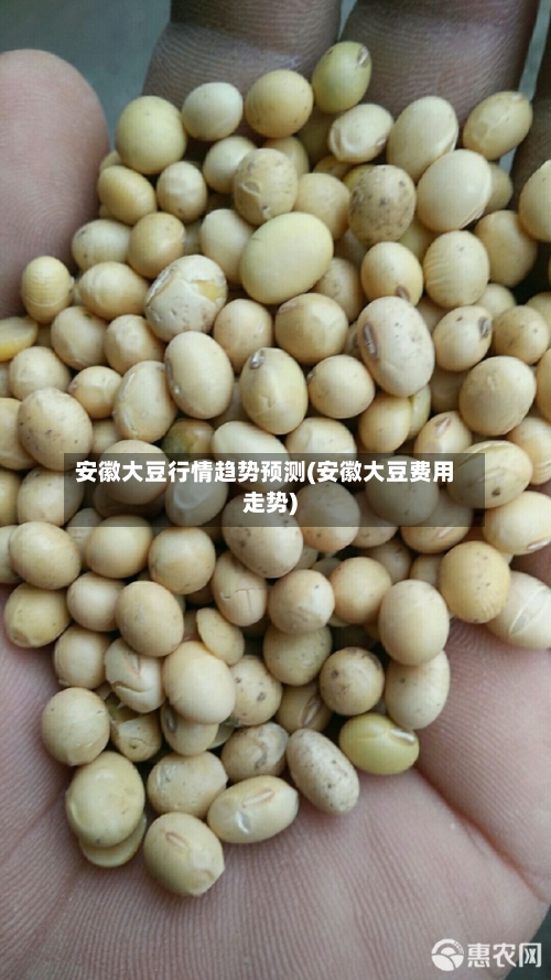 安徽大豆行情趋势预测(安徽大豆费用走势)-第2张图片