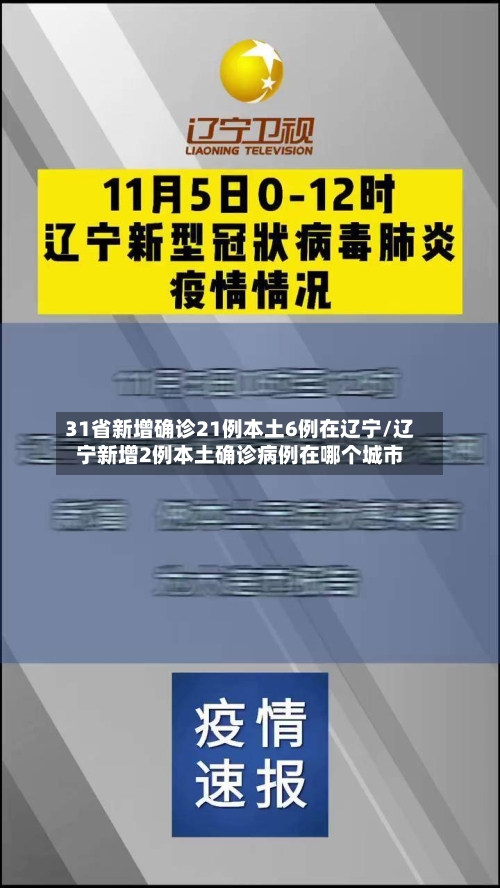 31省新增确诊21例本土6例在辽宁/辽宁新增2例本土确诊病例在哪个城市-第2张图片