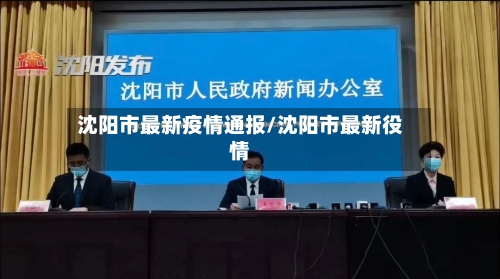 沈阳市最新疫情通报/沈阳市最新役情