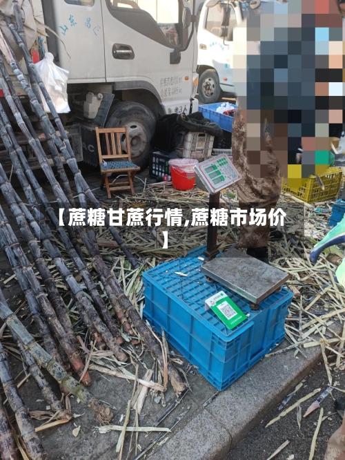 【蔗糖甘蔗行情,蔗糖市场价】-第2张图片