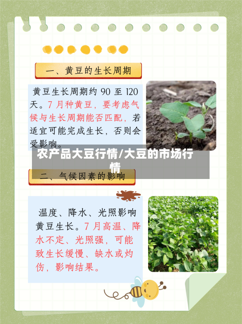 农产品大豆行情/大豆的市场行情
