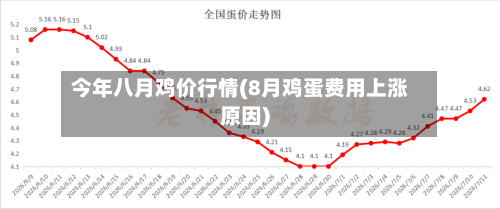 今年八月鸡价行情(8月鸡蛋费用上涨原因)-第2张图片