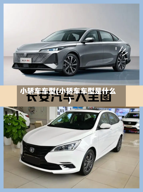小轿车车型(小轿车车型是什么)