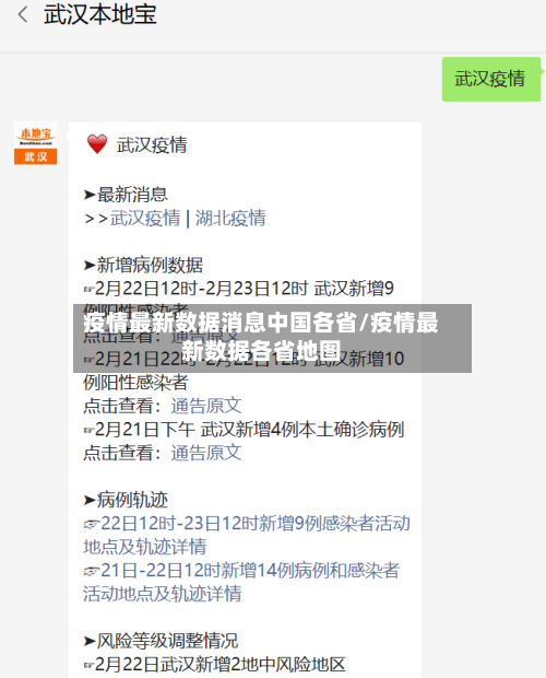 疫情最新数据消息中国各省/疫情最新数据各省地图-第2张图片