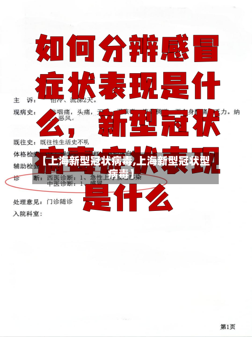 【上海新型冠状病毒,上海新型冠状型病毒】-第2张图片