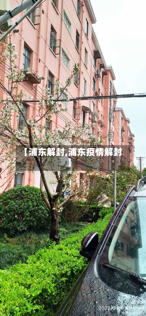 【浦东解封,浦东疫情解封】-第2张图片