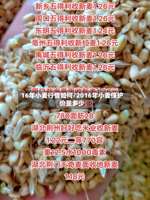 16年小麦行情如何/2016年小麦保护价是多少