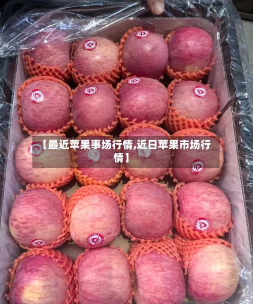 【最近苹果事场行情,近日苹果市场行情】-第2张图片