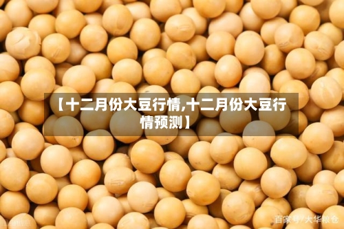 【十二月份大豆行情,十二月份大豆行情预测】-第2张图片