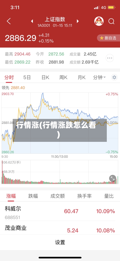 行情涨(行情涨跌怎么看)-第2张图片