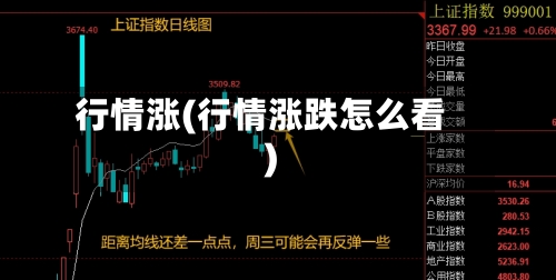 行情涨(行情涨跌怎么看)-第3张图片