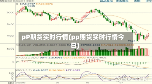 pP期货实时行情(pp期货实时行情今日)-第2张图片