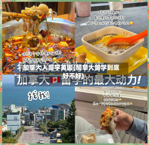 加拿大人留学英国(加拿大留学到底好不好)