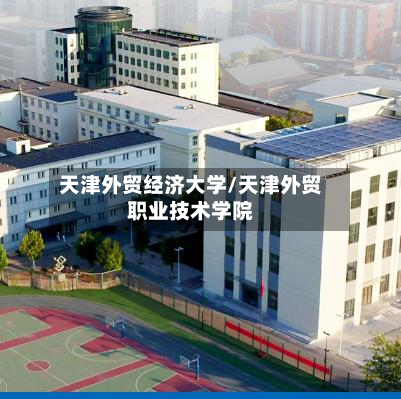 天津外贸经济大学/天津外贸职业技术学院